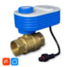 Шаровый кран с электроприводом QT06-20W на 3/4" дюйма с WIFI модулем